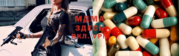 индика Аркадак