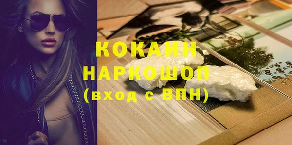 индика Аркадак