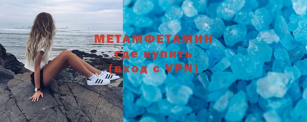 индика Аркадак
