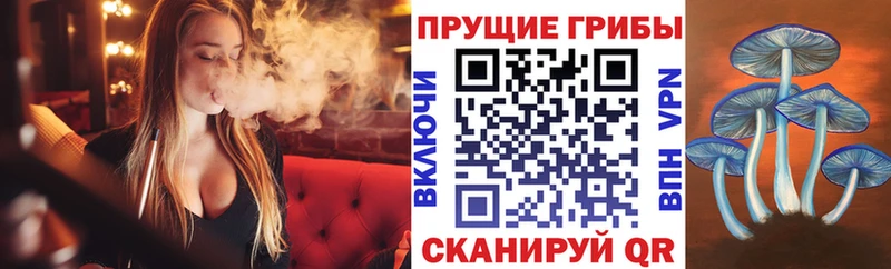 Галлюциногенные грибы GOLDEN TEACHER  Купить  Старый Оскол 